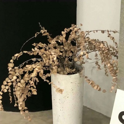 Furry插画人物结合福瑞交流群